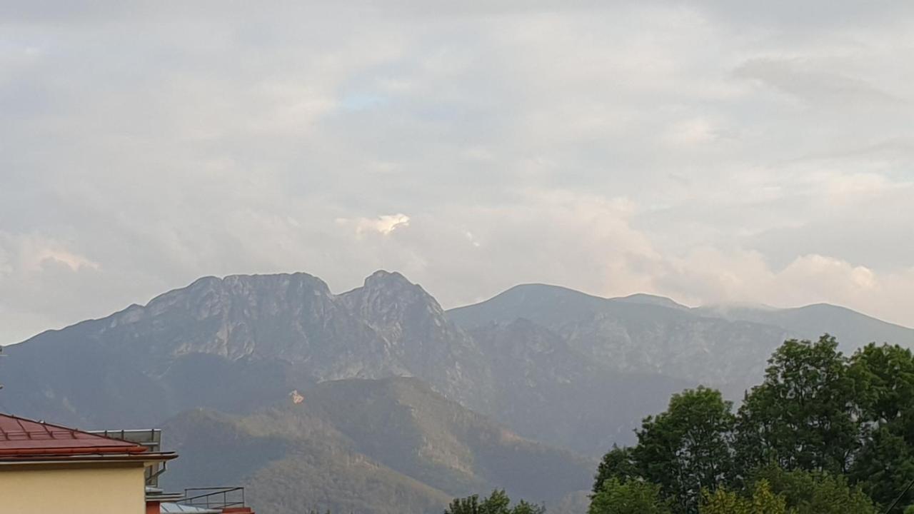 Villa Fortuna - Regionalne Apartamenty & Spa - Sauna, Grill, Jacuzzi Z Widokiem Na Tatry Zakopane Exterior photo